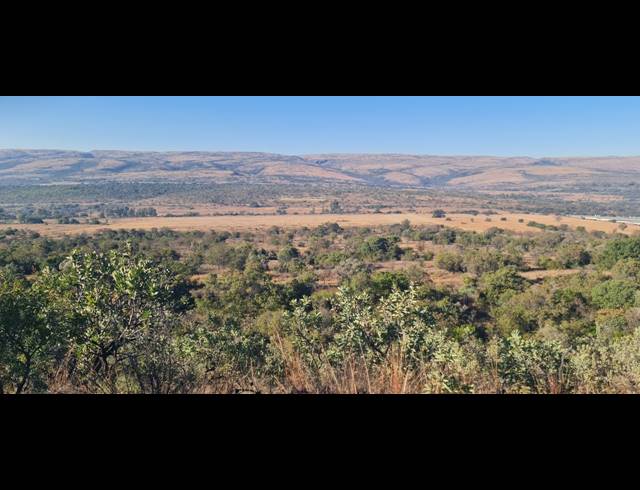 78HA VACANT LAND FOR SALE IN BUFFELSFONTEIN AH